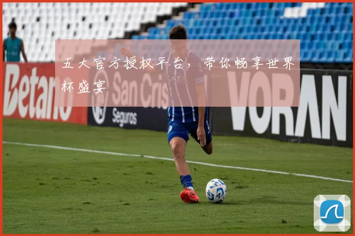 五大官方授权平台,带你畅享世界杯盛宴
