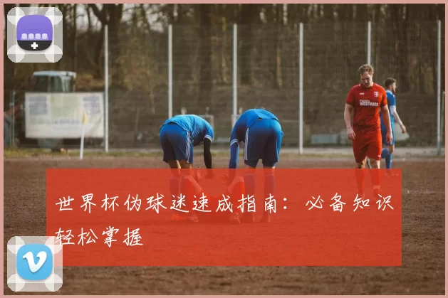 世界杯伪球迷速成指南：必备知识轻松掌握