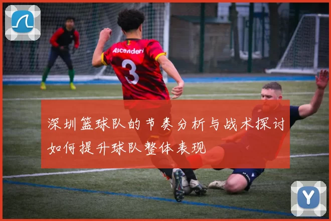深圳篮球队的节奏分析与战术探讨如何提升球队整体表现