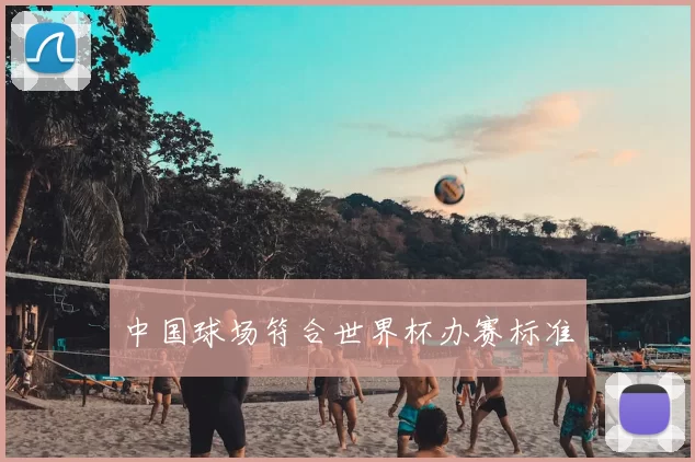 中国球场符合世界杯办赛标准