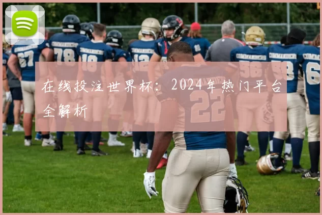 在线投注世界杯:2024年热门平台全解析