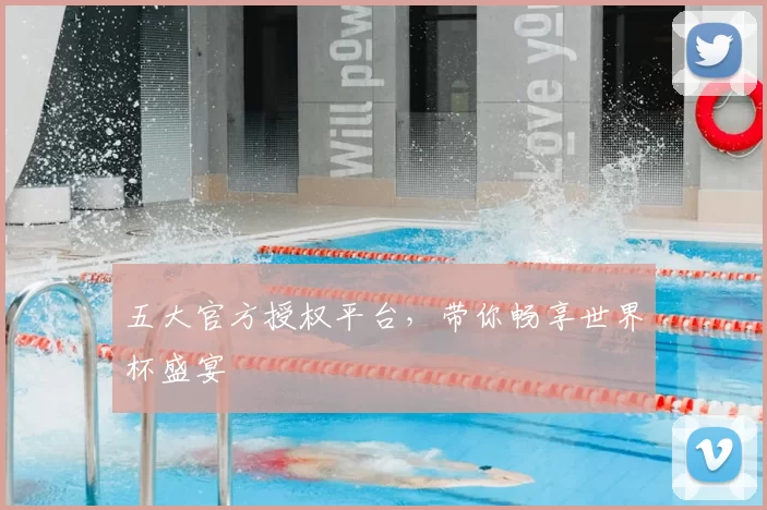 五大官方授权平台，带你畅享世界杯盛宴