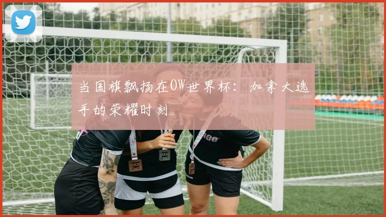 当国旗飘扬在OW世界杯:加拿大选手的荣耀时刻