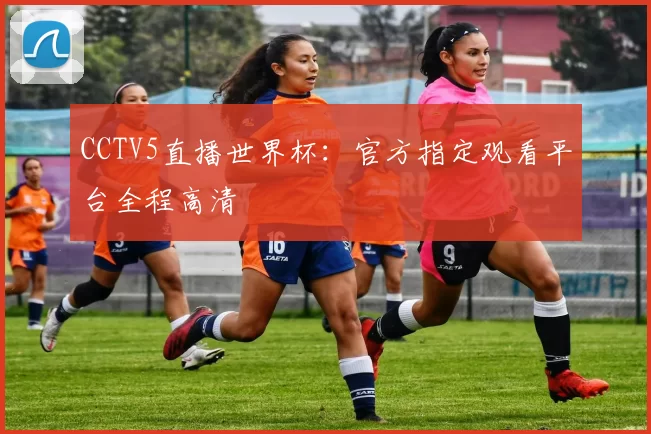 CCTV5直播世界杯：官方指定观看平台全程高清