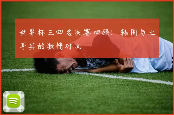 世界杯三四名决赛回顾:韩国与土耳其的激情对决