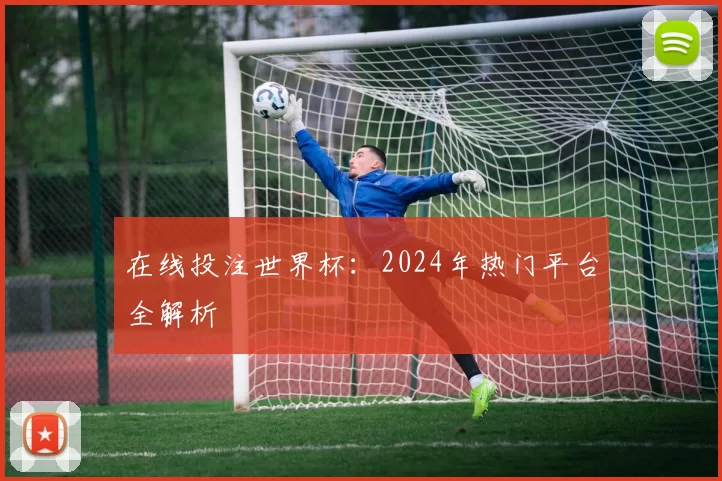在线投注世界杯：2024年热门平台全解析