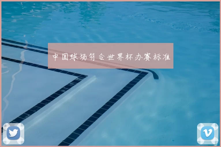 中国球场符合世界杯办赛标准